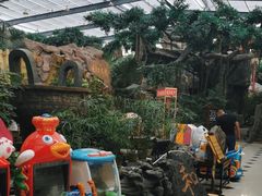 -老山东·山东菜(鲁菜名店)