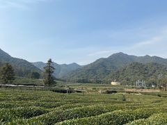 -听风阁农家私房菜茶楼(龙坞店)