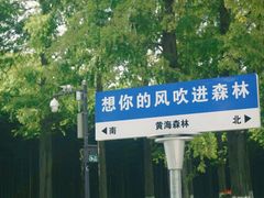 -黄海国家森林公园