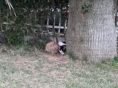 -厦门轮渡码头