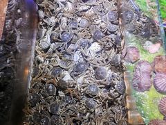 -聚盛源蒸汽海鲜火锅烤肉自助(巨川金海岸购物广场店)