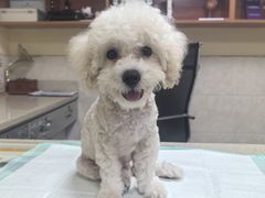 -动物缘宠物医院·骨科·猫科(西二环店)