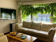 -精德口腔·种植修复·儿牙中心(财富中心店)