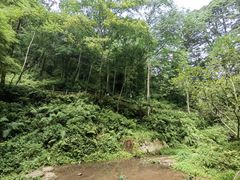 -青城山