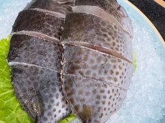 -雾山韩式烤肉·海南糟粕&椰子鸡火锅·海景餐厅(三亚绿发山海天JW万豪酒店)