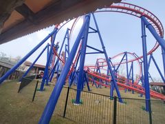 -苏州乐园森林水世界