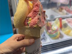 -柠檬车露(卖草地店)