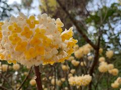 -常德桃花源景区