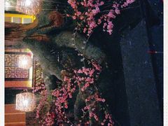 -树下时尚餐厅(翠园街店)