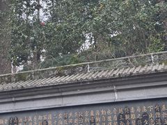 -十里琅珰