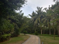 -三亚海棠湾万丽度假酒店