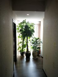 -源素美容养生会所