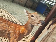 -保定市动物园