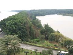 -大湾区中央湿地公园