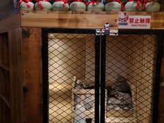 -有才叔北京时间涮肉(紫薇尚层店)
