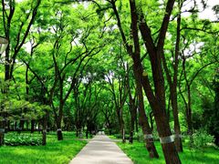 -玲珑塔公园