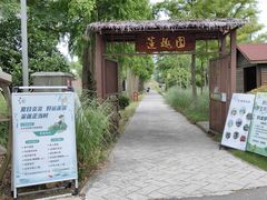 -上海长兴岛郊野公园