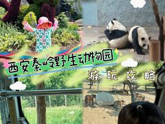 -西安秦岭野生动物园