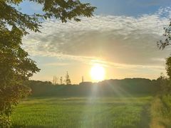 -广富林郊野公园