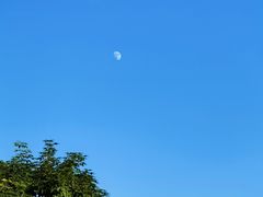 -白石龙音乐公园