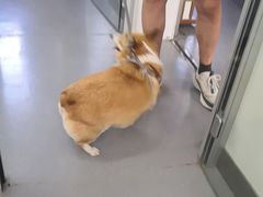 -心仪动物医院·牙专科·肿瘤·心脏科(西客站院)