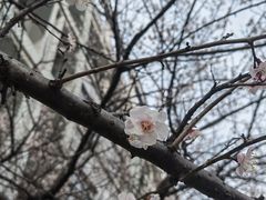 -杭州师范大学(下沙校区)