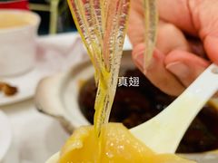 金汤佛跳墙-南园酒家(前进路店)