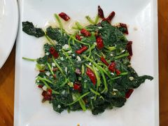 地瓜叶-醉壹号海鲜大排档(厦门美食地标店)