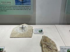 -辽宁古生物博物馆