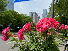 -木塔寺遗址生态公园