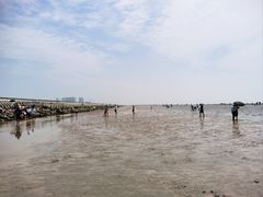 -南汇新城海滩