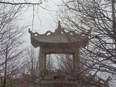 -东白山