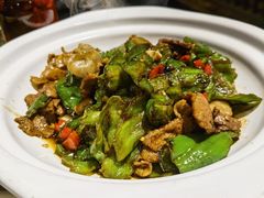 -鸽子窝(青塔店)