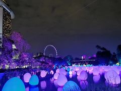 -圣淘沙名胜世界
