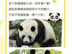 -杭州野生动物世界