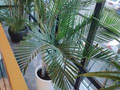 -鸿星花园酒家(银亿家园店)