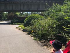 -永定河休闲森林公园