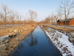 -东郊湿地公园