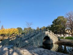 -河泥荡文化公园