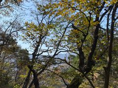 -北京上方山国家森林公园