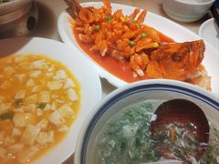 姑苏松鼠鱼-探花·意境江南菜·唐伯虎文化体验店·松鼠桂鱼(观前店)