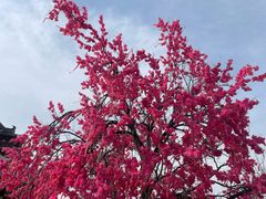 -祥源·阜阳生态乐园