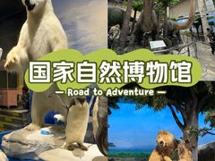 -国家自然博物馆