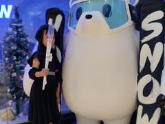 -Hopo Snow 城市滑雪空间(来福士广场购物中心店)