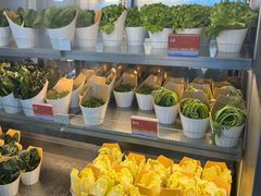 -海底捞大排档火锅(打浦路店)