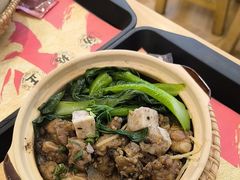 -华记煲仔华·煲仔饭(三元里万科里店)