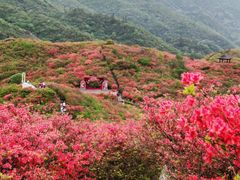 -大围山国家森林公园