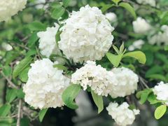 -荆川公园