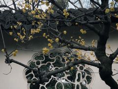 -沧浪亭