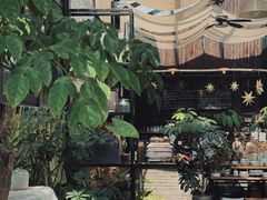 -北马山庄植趣咖啡